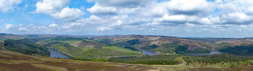 view